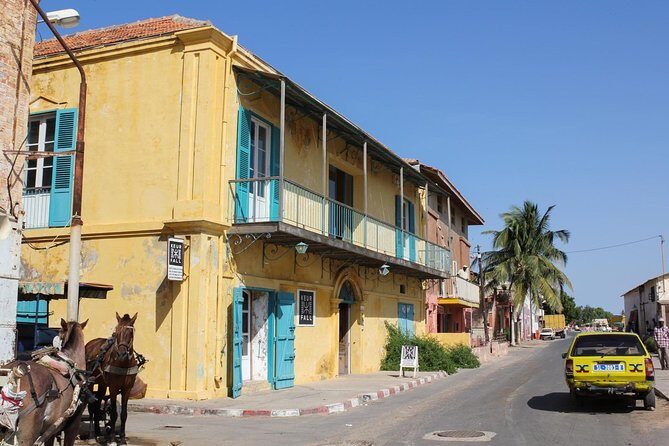 Discovery Senegal 8 Days 7 Nights - What Travelers Say About the Tour
