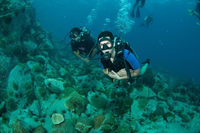 Diving at Koh Chang, daytrip with 2 dives - The Itinerary: What to Expect on Your Koh Chang Diving Day