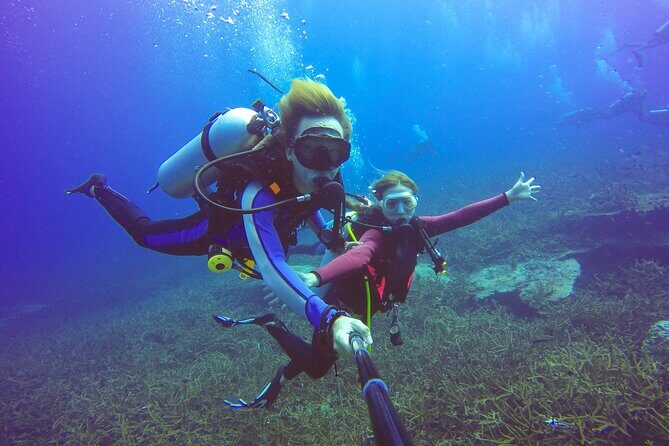 Diving Full Day 2 Stops Boat Trip For Beginners With Lunch and TransferHurghada - Whats Included and What to Keep in Mind