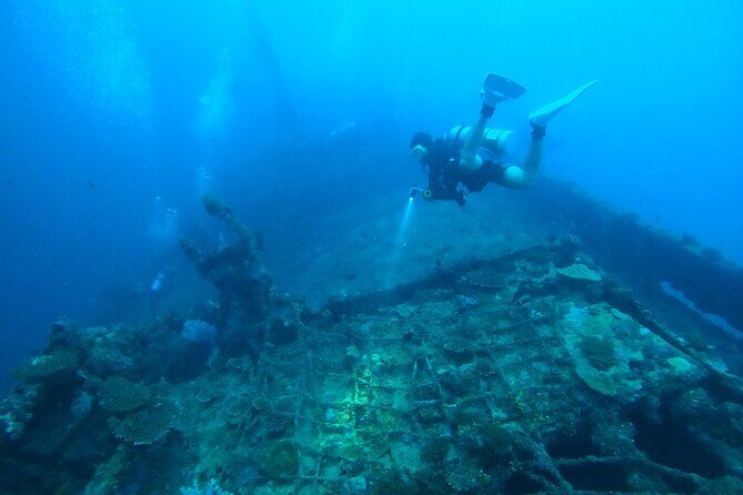 Diving in Colombo - Why This Tour Offers Real Value