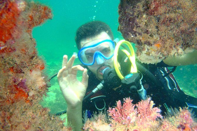 Diving initiation (Initiation) - FAQ