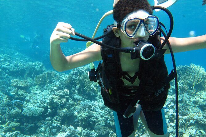 Diving & Snorkeling Boat trip to Tiran Island Sharm El Sheikh - Who Will Love This Tour?