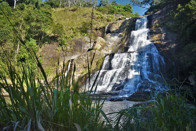 Diyaluma Waterfall and Natural Pool Bath With Lunch - Who Should Consider This Tour?