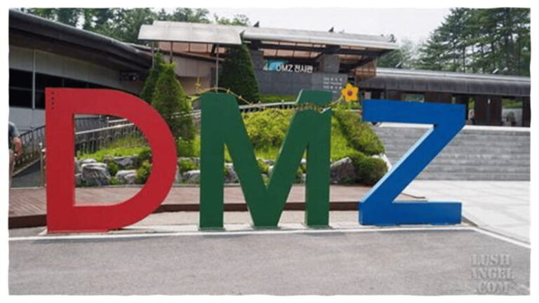 DMZ (3rd Tunnel)+Suspension Bridge Guided Private Tour - Exploring the Depths of the DMZ