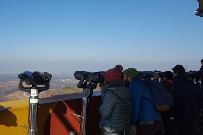 DMZ & Gondola & Suspension Bridge Full Day From Seoul - Detailed Review of the Tour Experience