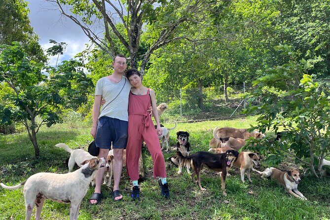 Dog Lover's guided tour of the Happy Tails Sanctuary - What to Expect from the Itinerary