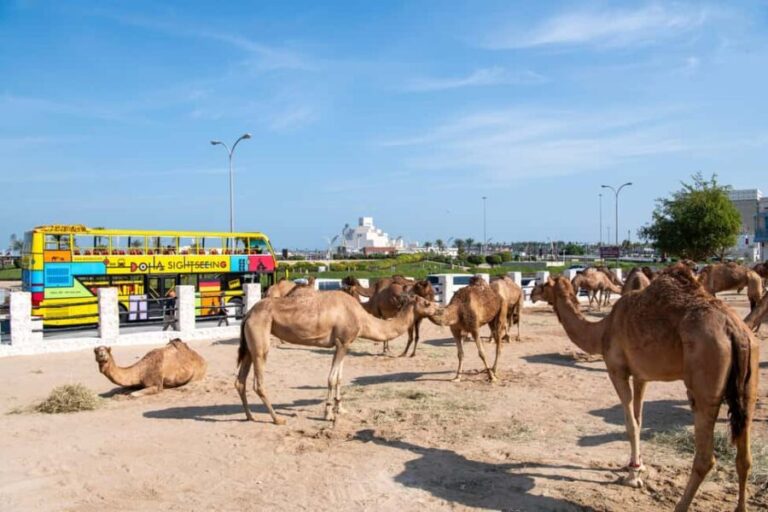 Doha: 24-Hour Hop-On Hop-Off Bus Ticket with Audio Guide - Breakdown of Each Stop