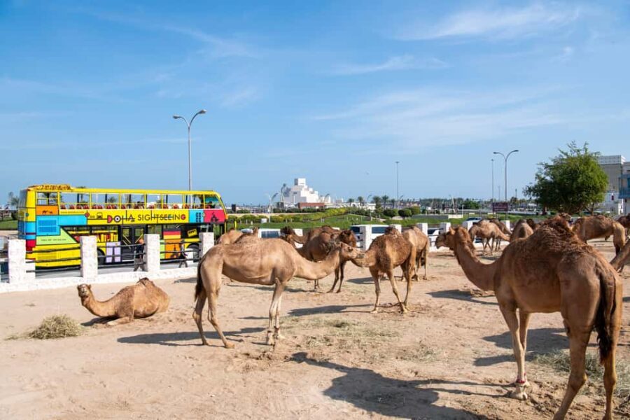 Doha: 24-Hour Hop-On Hop-Off Bus Ticket with Audio Guide - Breakdown of Each Stop