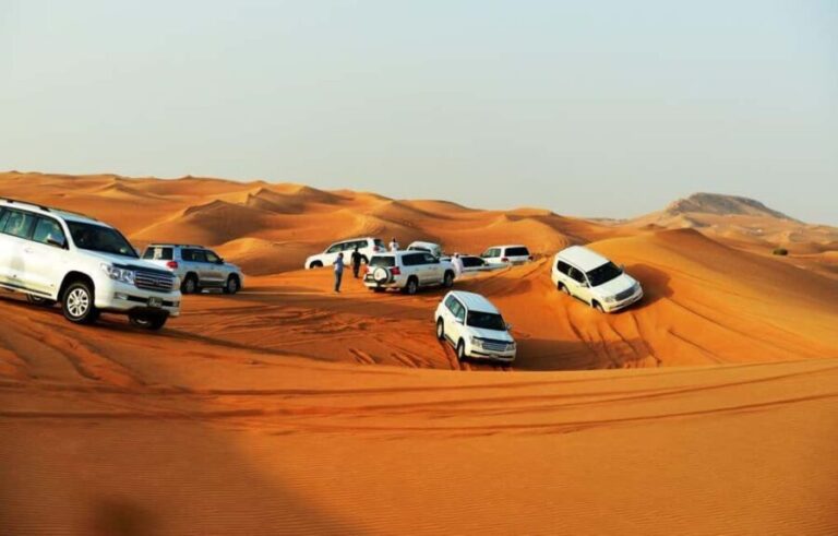 Doha: City Tour and Desert Safari with Camel Ride - FAQs