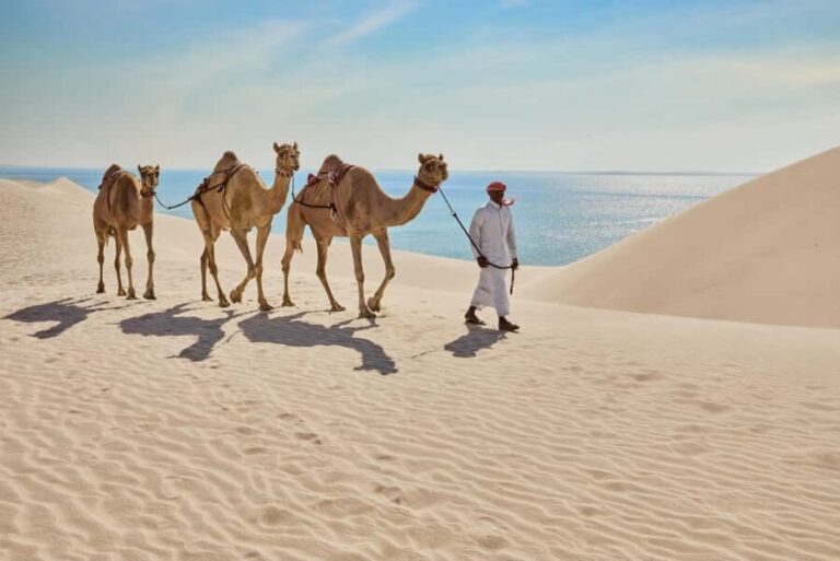Doha City Tour+Desert Safari Combo with Inland Sea Adventure - Who Should Consider This Tour?
