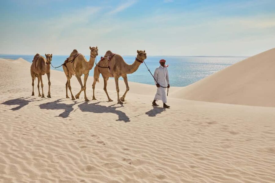 Doha City Tour+Desert Safari Combo with Inland Sea Adventure - Who Should Consider This Tour?