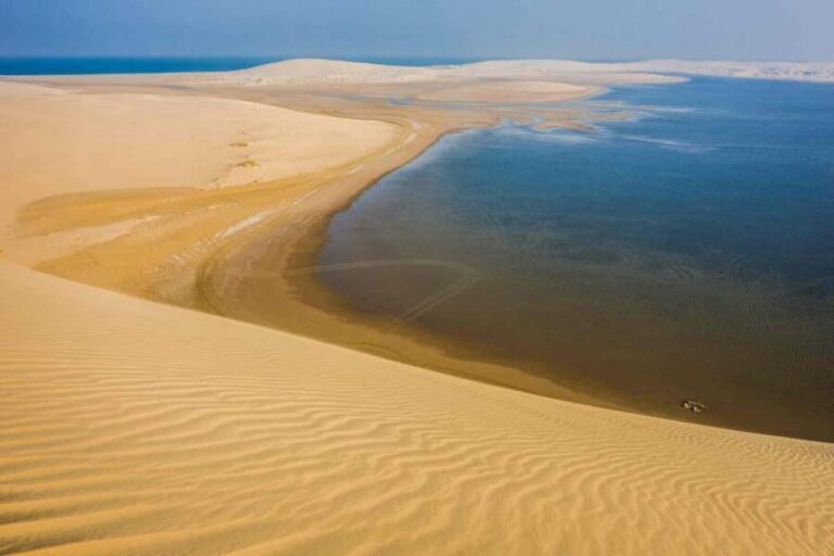 Doha: Half Day Desert Safari From Airport/Hotel/Cruise Port - What Travelers Say