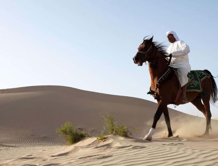 Doha: Horse Riding and Camel Ride Tour - Final Thoughts