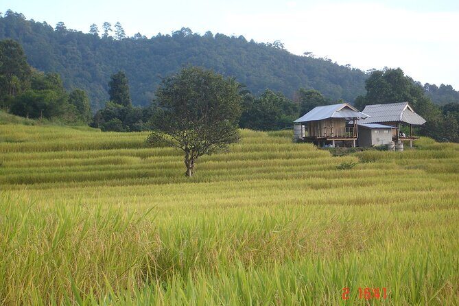 Doi Inthanon National park and 2 hours hiking with private tour - Why Travelers Keep Rating This Tour a Perfect 5