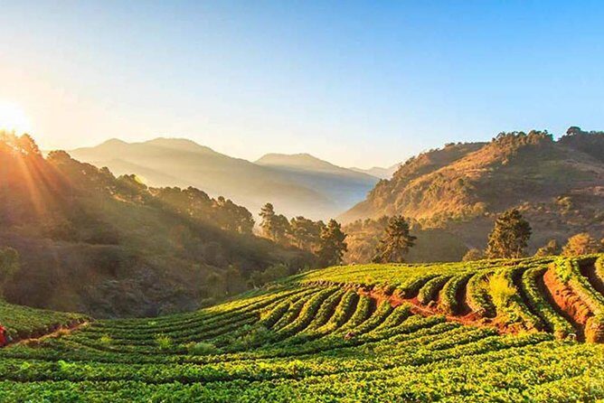 Doi Inthanon National Park Full Day Tour from Chiang Mai - What Does the Price Cover, and Is It Good Value?