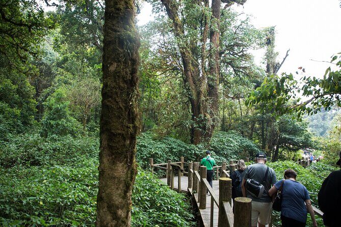 Doi Inthanon National Park Private Tour  Full Day - Value and Practicalities