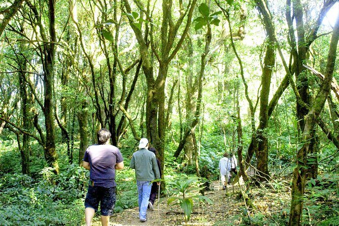 Doi Inthanon National Park, Waterfall & Royal Project Day Tour From Chiang Mai - A Detailed Look at the Itinerary