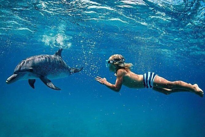 Dolphin Encounters, Ile aux Benitier & Crystal rock: Full-Day (Lunch & Transfer) - Who Will Love This Tour?