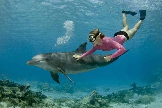 Dolphin House Cruise with water sports and Lunch in Hurghada - The Sum Up: Is This Tour Worth It?