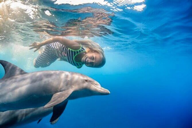 Dolphin House Sea Trip with Water Sport and Lunch - What the Reviews Say
