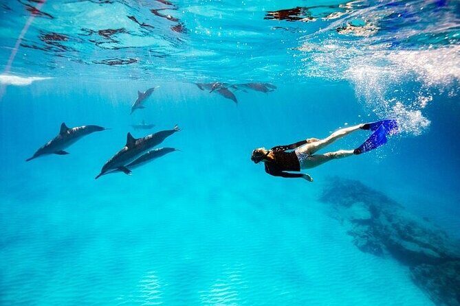 Dolphin House Snorkeling Trip & Water Sport With Lunch - Hurghada - The Itinerary in Detail
