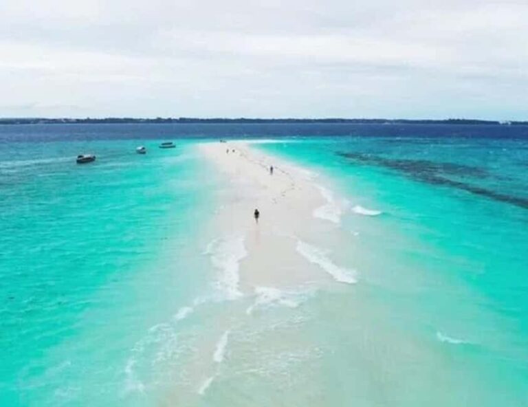 Dolphin tour and beautiful kendwa beach - The Sum Up