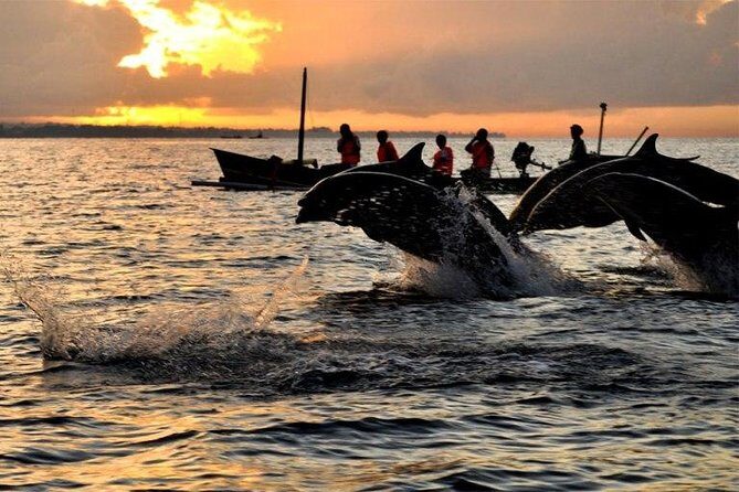 Dolphin Tour and Sunrise Watching in Lovina Beach - All Inclusive - What Travelers Say: Authentic Experiences & Genuine Value