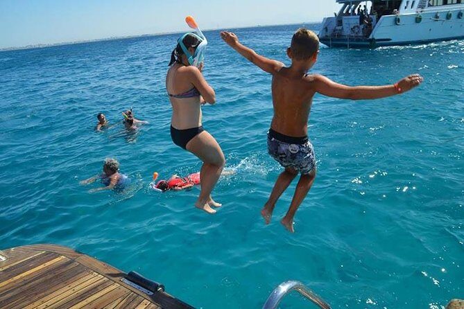 Dolphin Tour in Hurghada - The Value Proposition