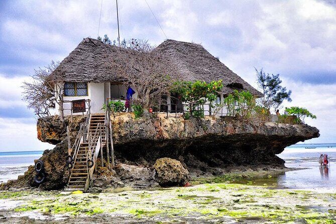 Dolphin tour, Jozani Forest, Jambiani Kuza Cave, Paje Beach &The Rock restaurent - Practical Tips for the Tour