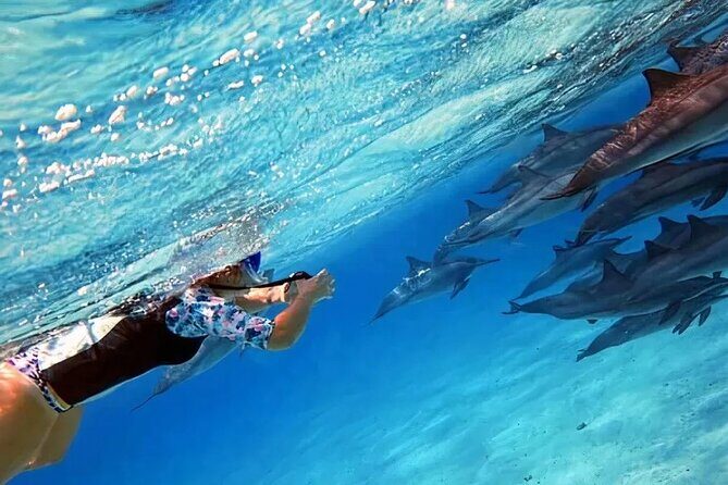 Dolphin watching 7 hours Boat Trip & Snorkelling from Hurghada - Who Should Consider This Tour?