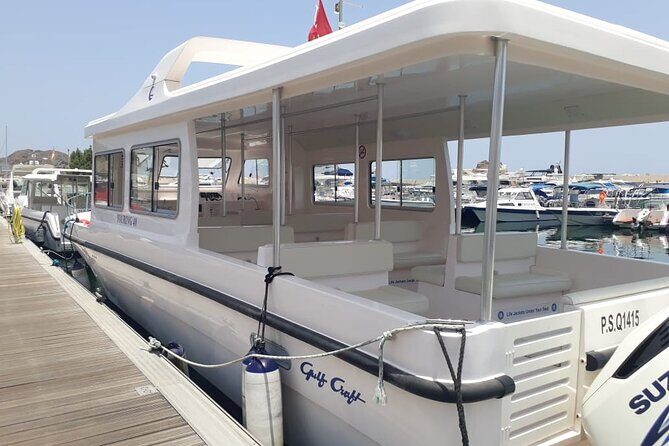 Dolphin Watching in Muscat - Who Would Enjoy This Tour?