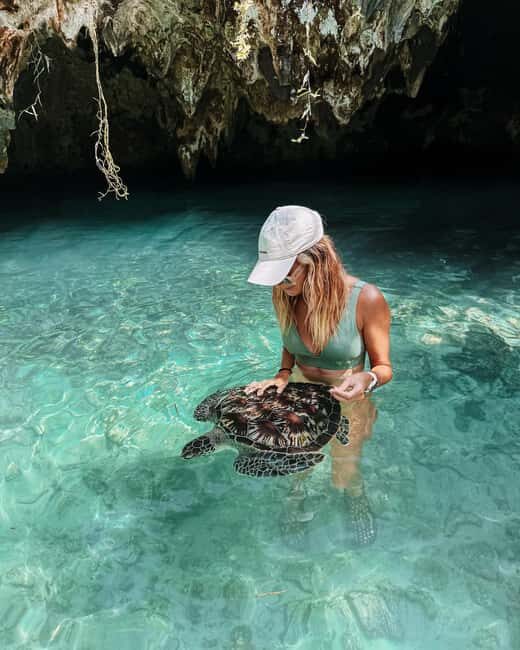 Dolphins tour + mnemba island snorkeling + salaam turles - Who is this tour best suited for?