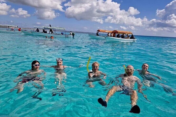 Dolphins Tour - What to Expect During the Dolphin Encounter