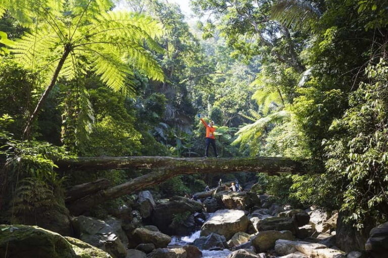 Dong Hoi: 2-Day Conquer Duong Cam Waterfall Adventure Tour - A Genuine Adventure through Vietnam’s Verdant Wilderness