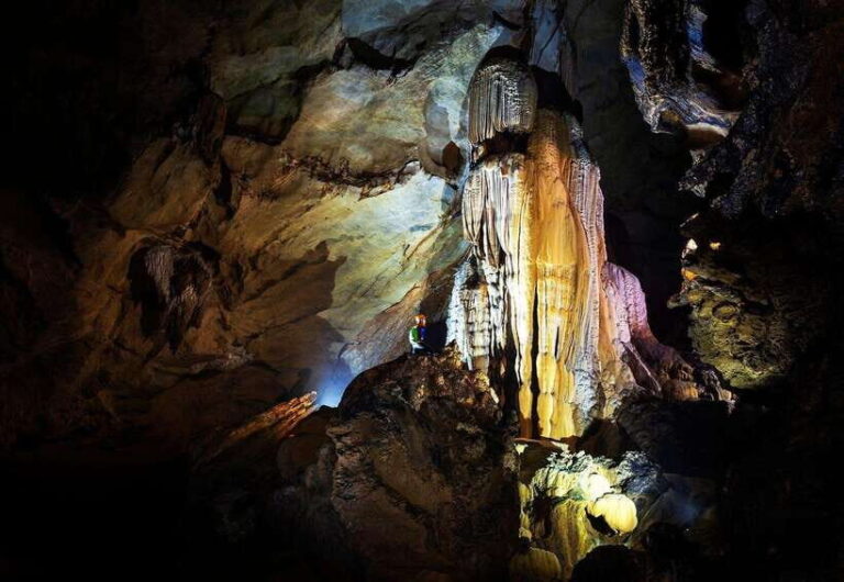 Dong Hoi: Expedition Cha Loi Cave like Tarzan in the Jungle - What Makes This Tour Stand Out