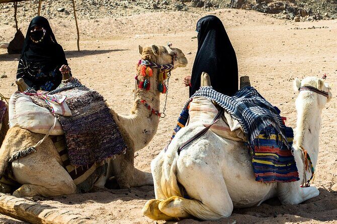 Double Buggy with Dinner, Camel Ride & Stargazing Sharm AlSheikh - The Real Value for Travelers