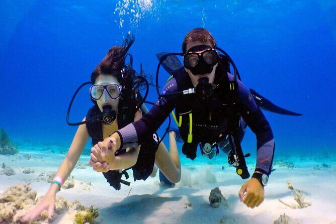 Dream to Dive full Course & private Dive Instructor PADI - What to Expect from the Course