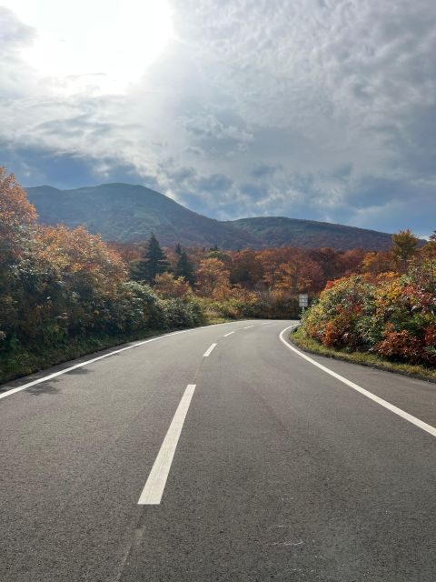 Driving Support in Akita - Why This Tour Offers Real Value
