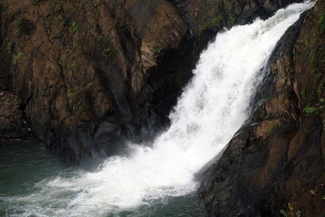 Dudhsagar waterfall wildlife & spice plantation Tour in Goa - What the Reviews Say