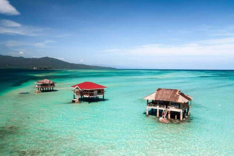 Dumaguete Manjuyod sand bar & Dolphin Watching - How the Day Unfolds