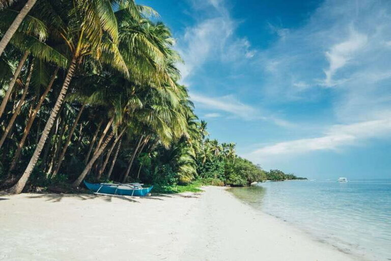 Dumaguete: Siquijor Island & Cambugahay Falls Private Tour - A Comprehensive Look at the Siquijor Private Tour