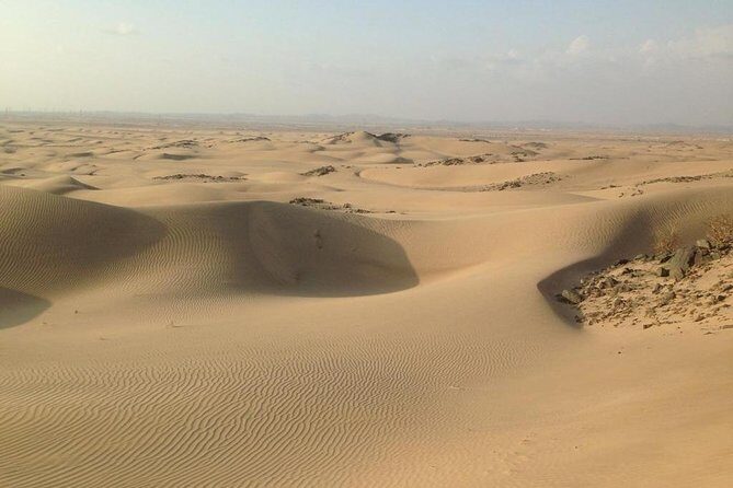 Dune Bashing Desert Safari Trip - The Itinerary: What to Expect on Your Desert Day