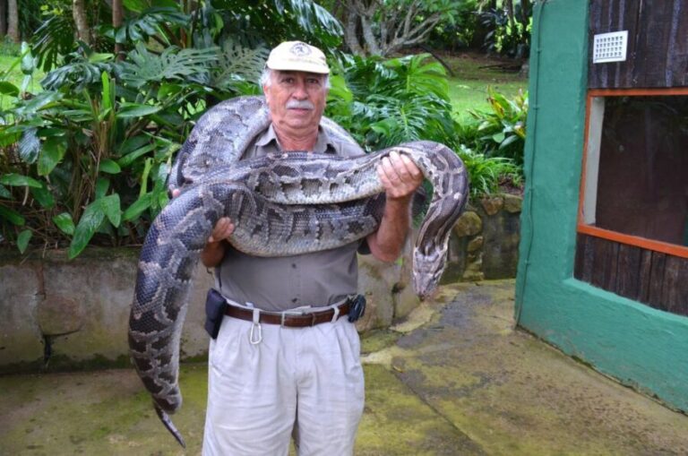 Durban: City & PheZulu Cultural Village Tour - Exploring PheZulu Cultural Village