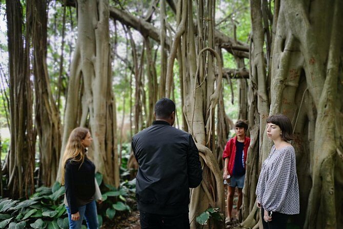 Durban from Within : An Immersive City Tour - The Value of This Tour