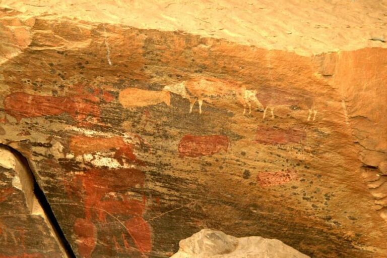 Durban: Giants Cave Paintings & Mandela Capture Site Tour - What Makes This Tour Stand Out