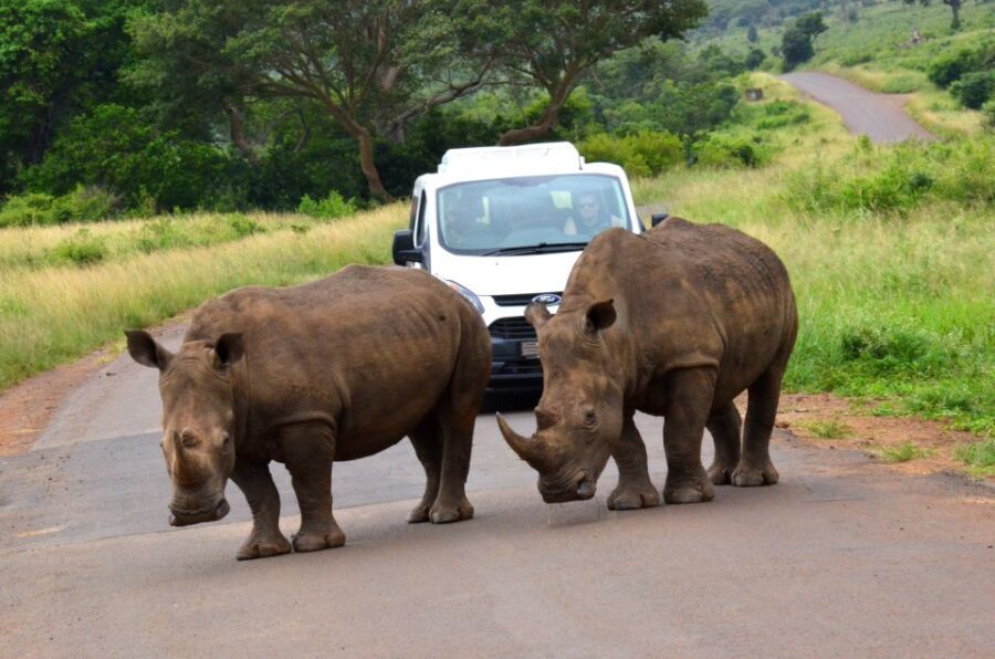 Durban: Hluhluwe Imfolozi Safari & iSimangaliso Tour - Whats Included and Whats Not