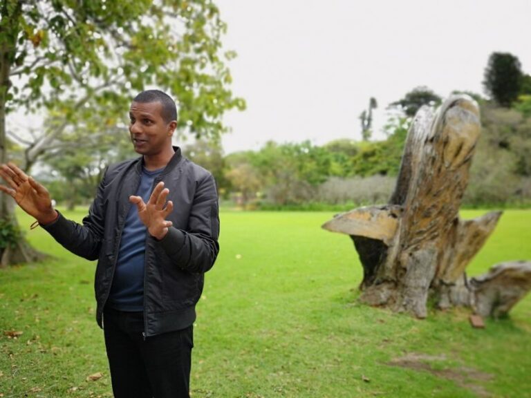 Durban: Interactive Sightseeing Tour with Locals - Who Will Love This Tour?