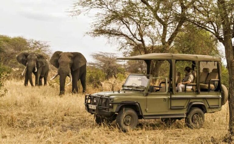 Durban: Natal Lion Park and Phezulu Safari Park Tour - The Sum Up