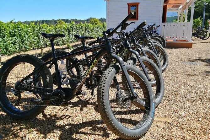 E-Bike Wine Tour Stellenbosch (Half Day) - Exploring the E-Bike Wine Tour Stellenbosch (Half Day): A Practical Guide