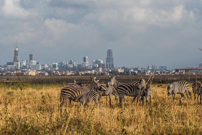 Early Nairobi Park Giraffe Centre and Optional Elephant Orphanage - Who Should Consider This Tour?